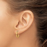 Chisel Stainless Steel Polished Yellow IP-plated 15.5mm Diameter 2mm Hoop Earrings view 4