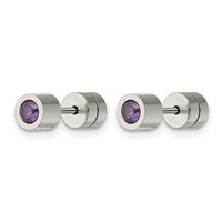 Chisel Stainless Steel Polished Purple CZ February Birthstone Post Earrings view 3