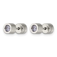 Chisel Stainless Steel Polished Pink CZ June Birthstone Post Earrings view 3