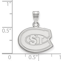 Sterling Silver Rhodium-plated LogoArt St. Cloud State University Small Pendant view 2