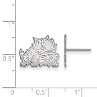 Sterling Silver Rhodium-plated LogoArt Texas Christian University Horned Frog Small Post Earrings view 2