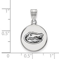 Sterling Silver Rhodium-plated LogoArt University of Florida Gator Medium Enameled Disc Pendant view 2