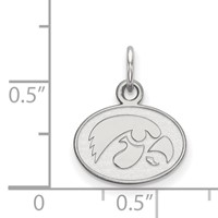Sterling Silver Rhodium-plated LogoArt University of Iowa Hawk Extra Small Oval Pendant view 2