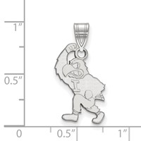 Sterling Silver Rhodium-plated LogoArt University of Iowa Hawk Mascot Large Pendant view 2
