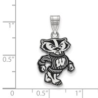 Sterling Silver Rhodium-plated LogoArt University of Wisconsin Badger Large Enameled Pendant view 2