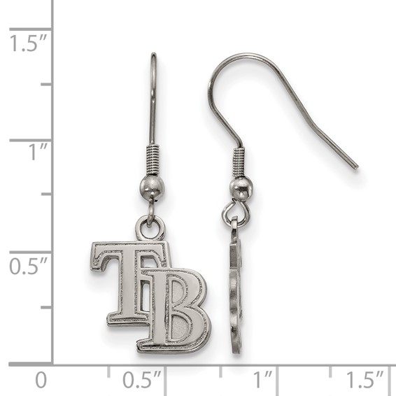 Stainless Steel Major League Baseball LogoArt Tampa Bay Rays Letters T-B Dangle Earrings
