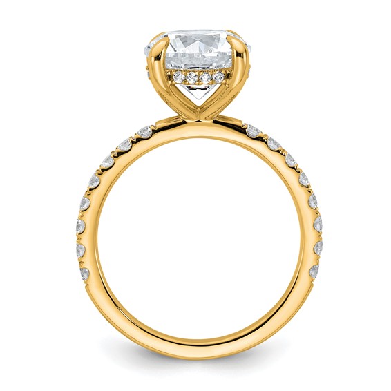 14k 3 1/2 carat Certified Lab Grown Diamond VS/SI+ G+ Round Complete Solitaire with Flair Engagement Ring