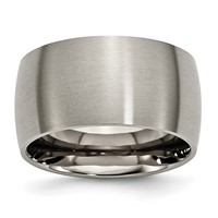 Chisel Titanium Brushed 12mm Half Round Band view 1