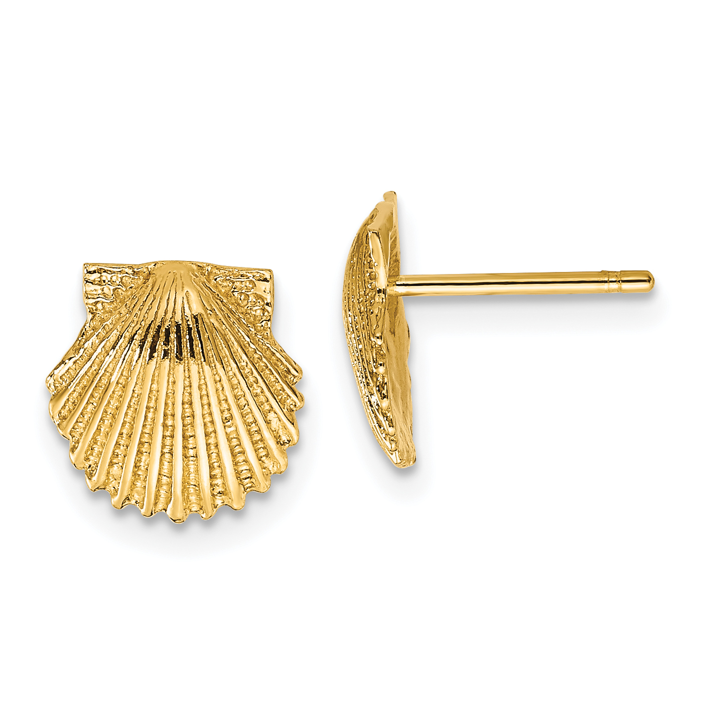 14k Scallop Shell Post Earrings (TC569)