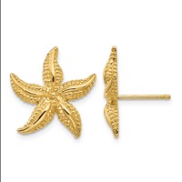 14K Yellow Gold Starfish Post Earrings view 1