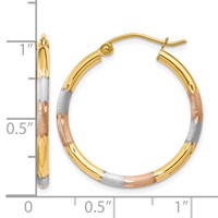 14K W White and Rose Rhodium 2mm Satin & D C Hoop Earrings view 4