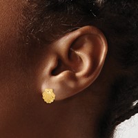 14K Yellow Gold Satin Diamond-cut Seashell Post Earrings view 3
