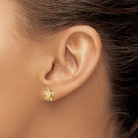 14K Polished Diamond-cut Sea Turtle Post Earrings view 3