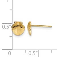 14K Yellow Gold Mini Scallop Shell Post Earrings view 4