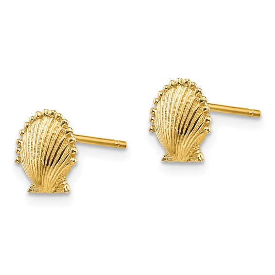Gold Sea Shell Post Earrings