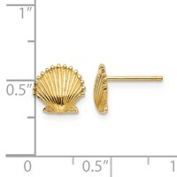 14K Scallop Shell Post Earrings view 4
