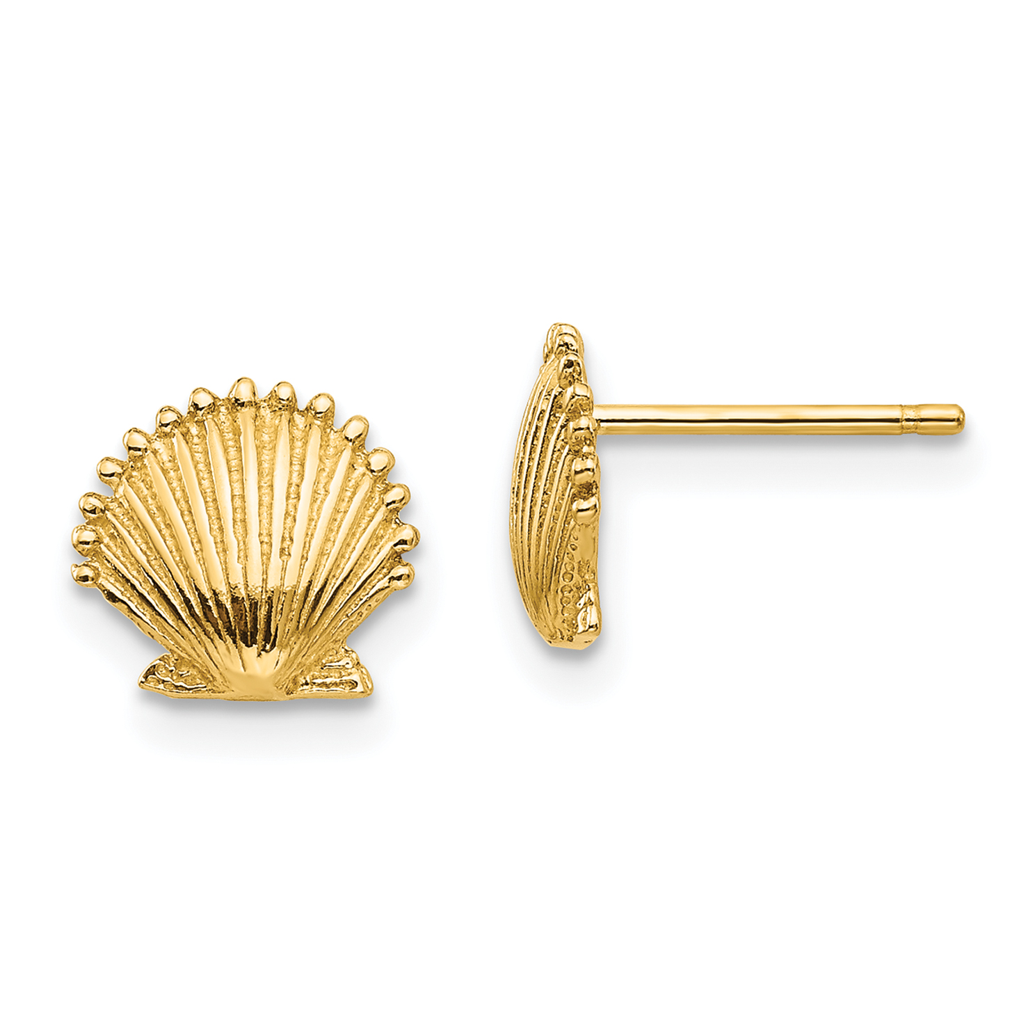 14k Scallop Shell Post Earrings (TE633)