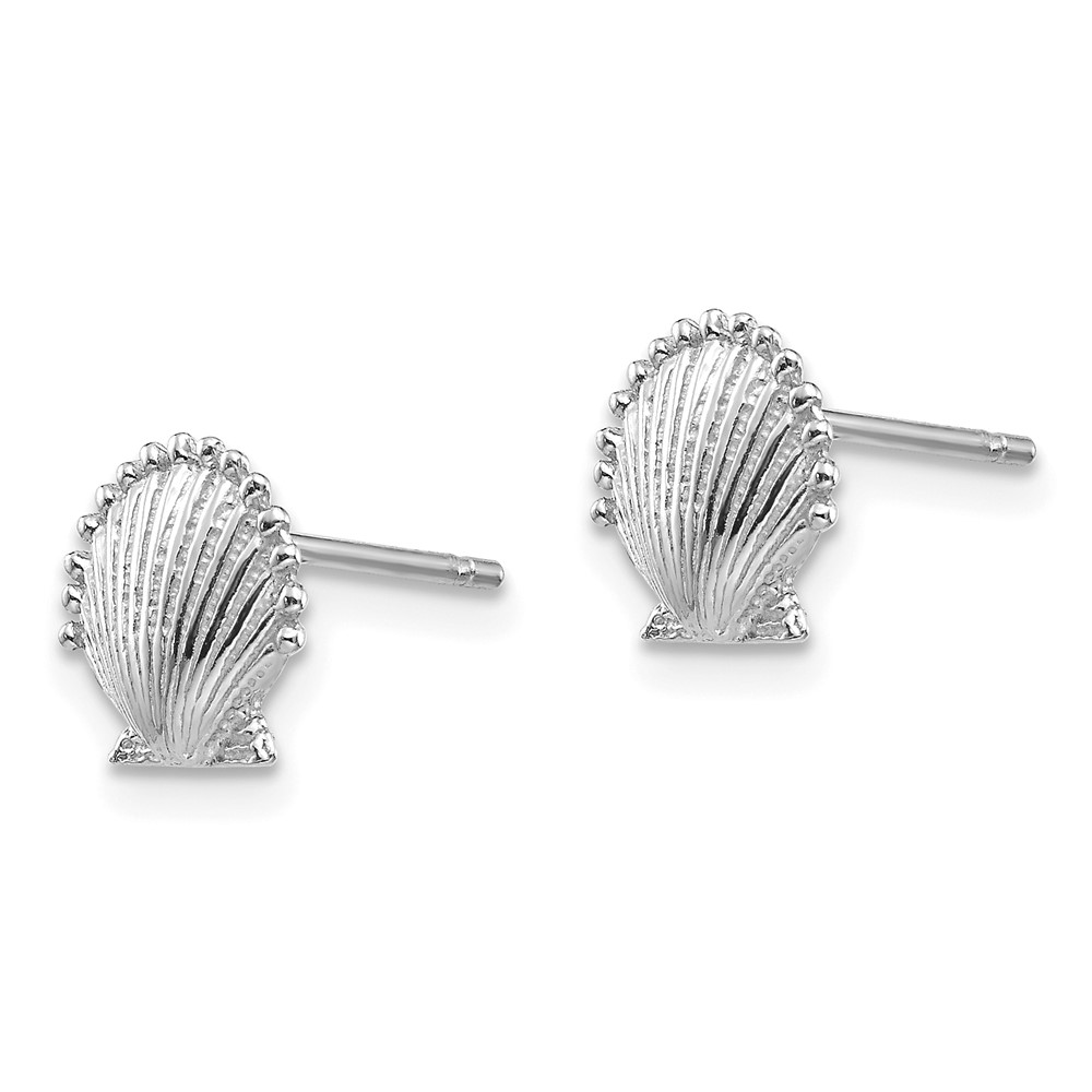 14K White Gold Scallop Shell Post Earrings (TE633W)