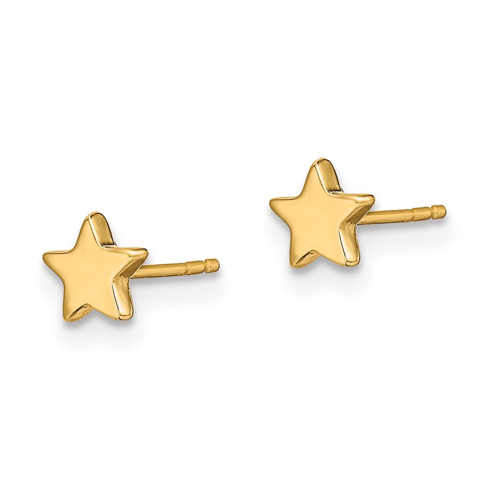 14k Gold Polished Star Post Earrings (TE651)