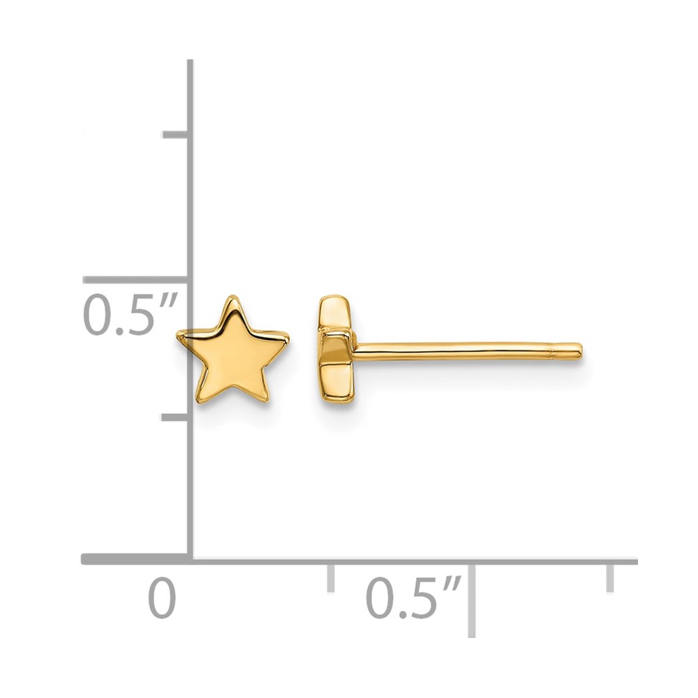 14k Gold Polished Star Post Earrings (TE651)