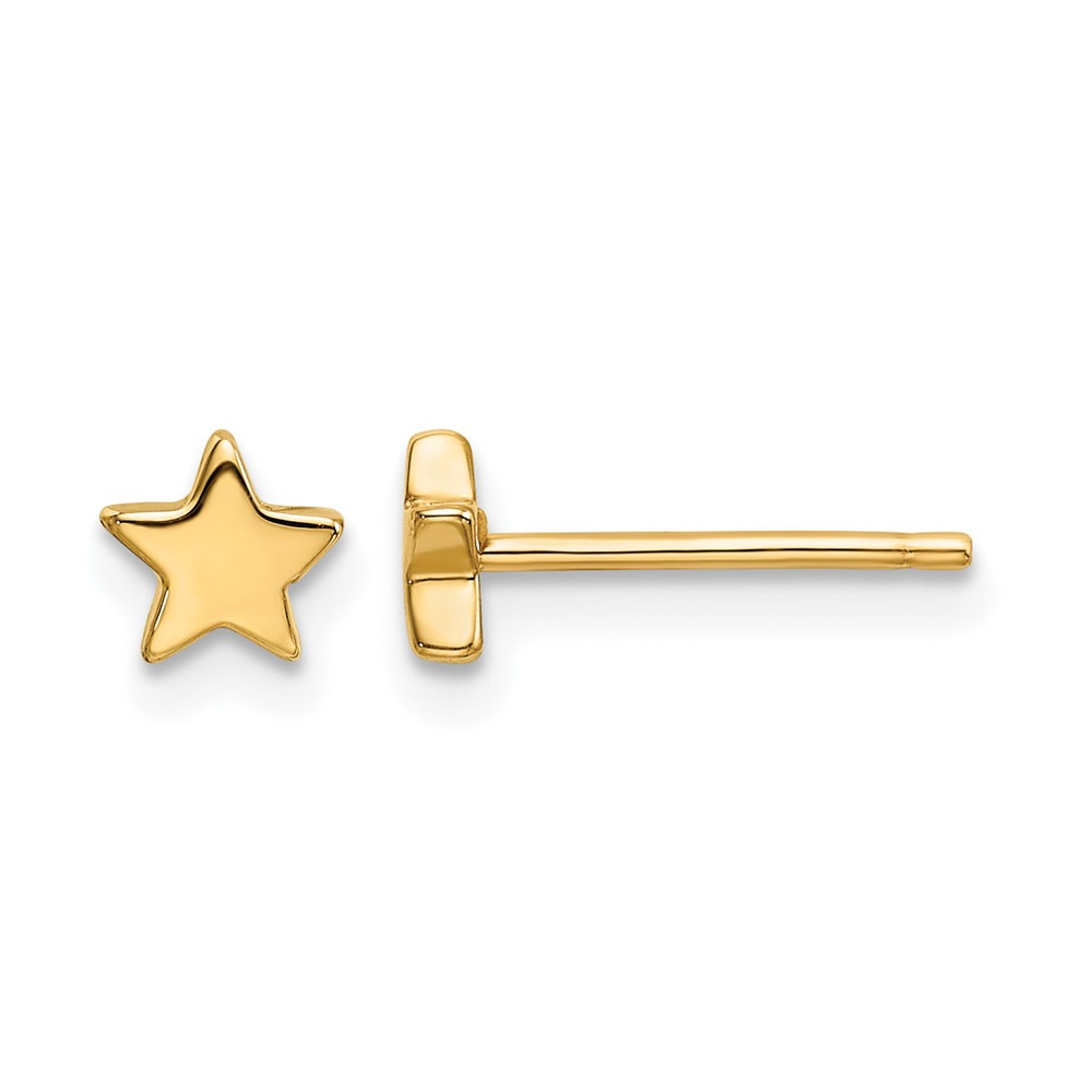 14k Gold Polished Star Post Earrings (TE651)