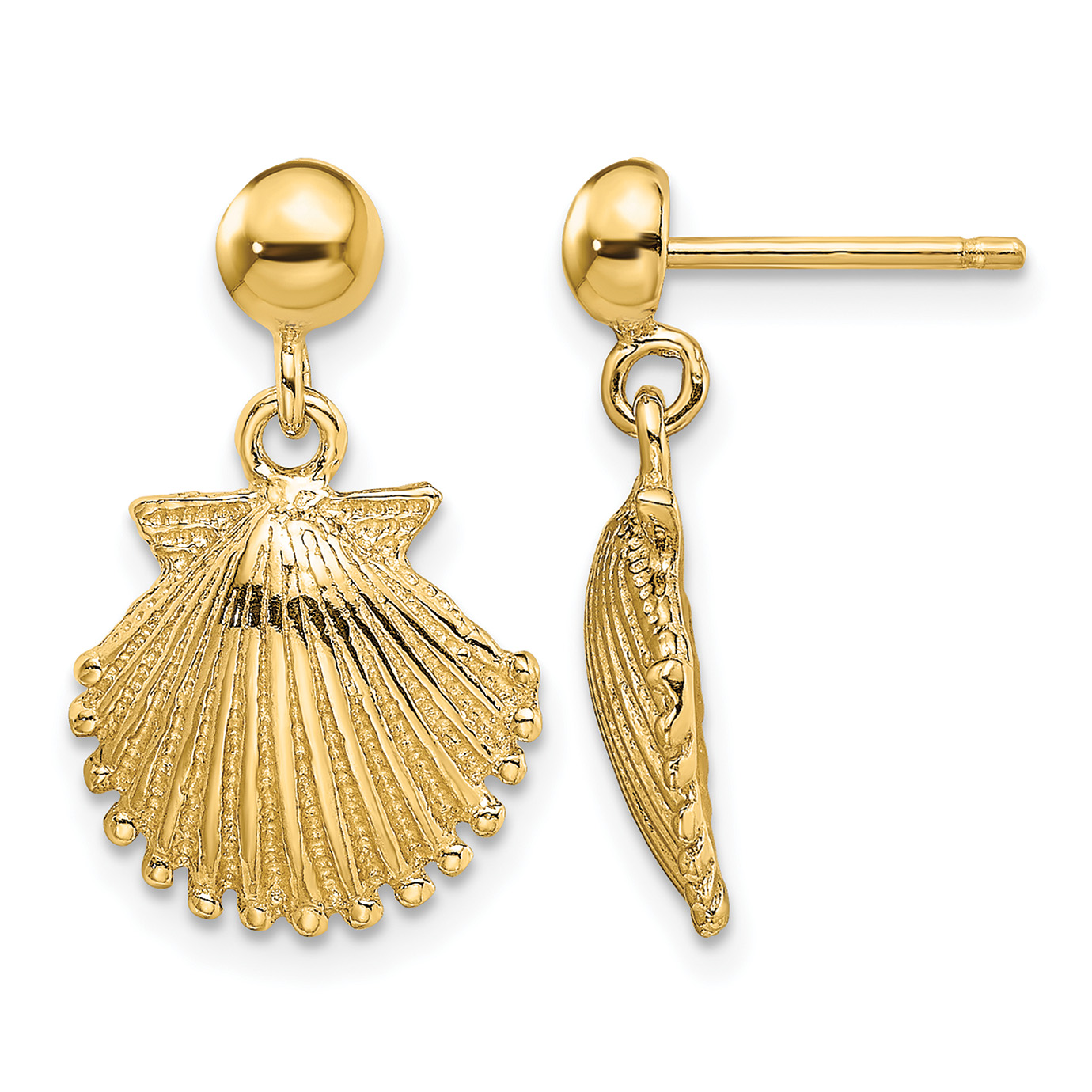 14K Polished Scallop Shell Dangle Earrings (TE748)