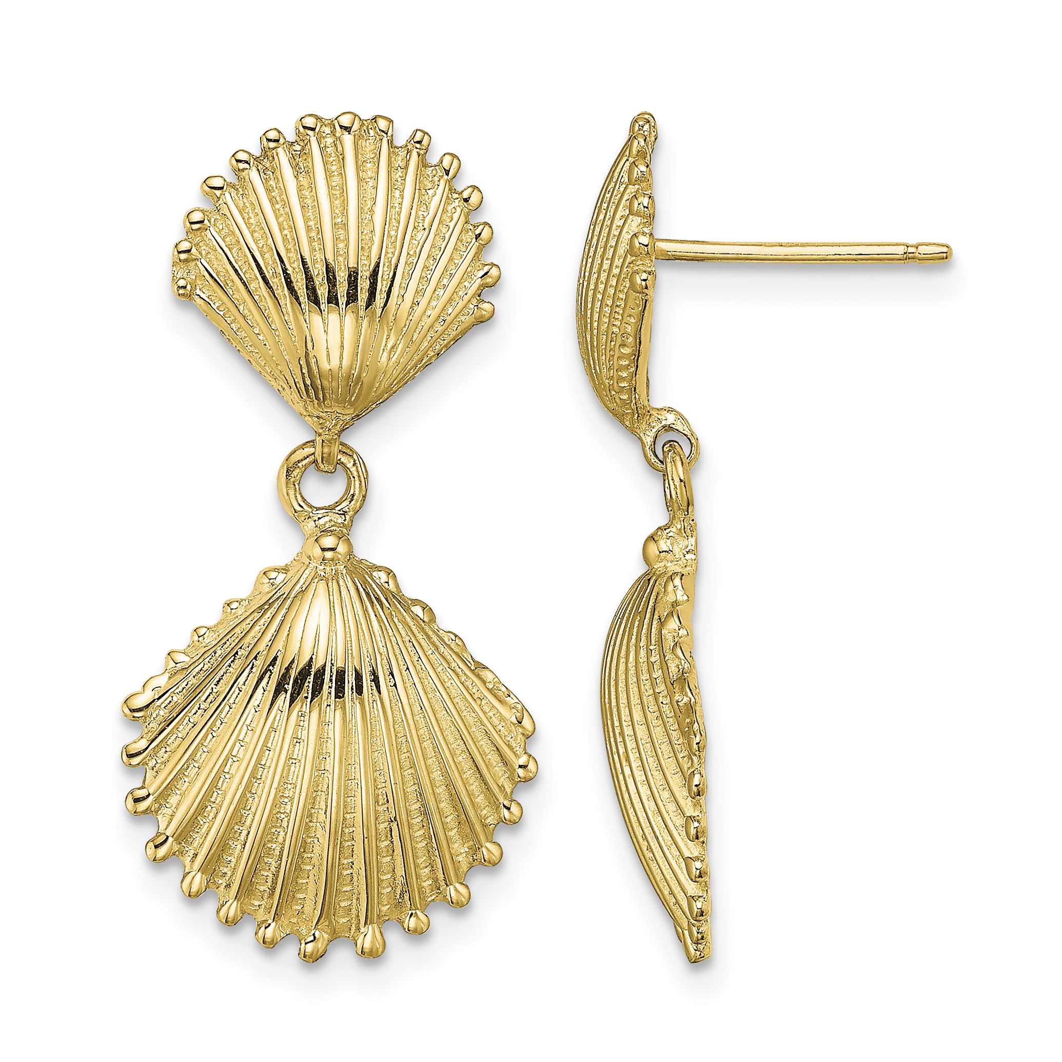 14K Polished Scallop Shell Dangle Earrings (TE754)