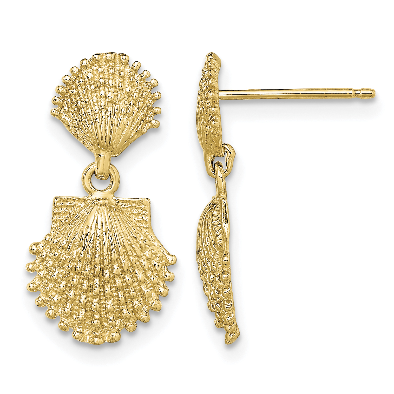 14K Double Beaded Scallop Shell Dangle Earrings (TE755)
