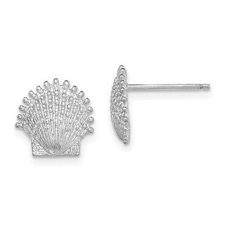 14K White Gold Beaded Scallop Shell Post Earrings