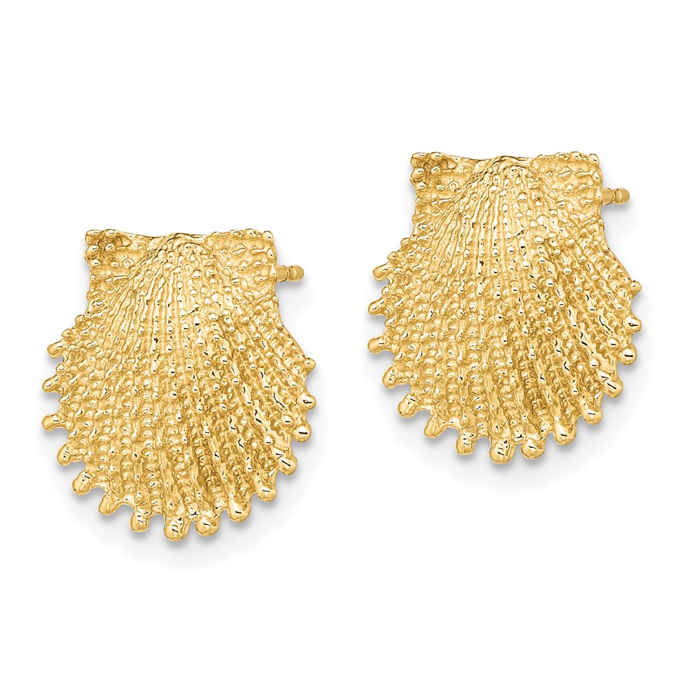 14K Beaded Scallop Shell Post Earrings (TE767)
