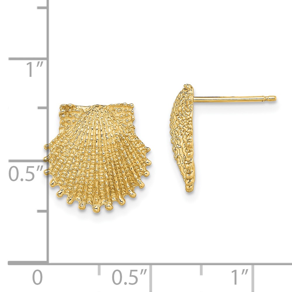 14K Beaded Scallop Shell Post Earrings (TE767)