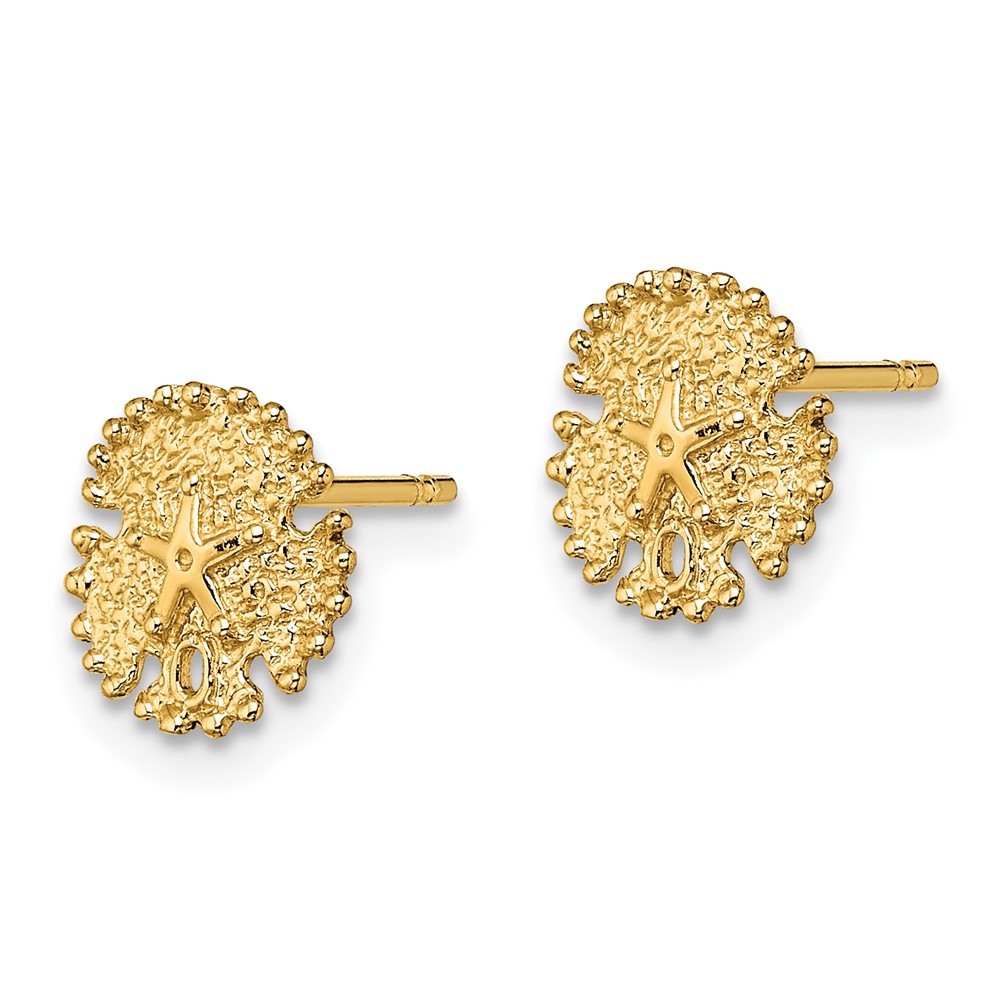 14K Textured Sand Dollar Post Earrings (TE777)