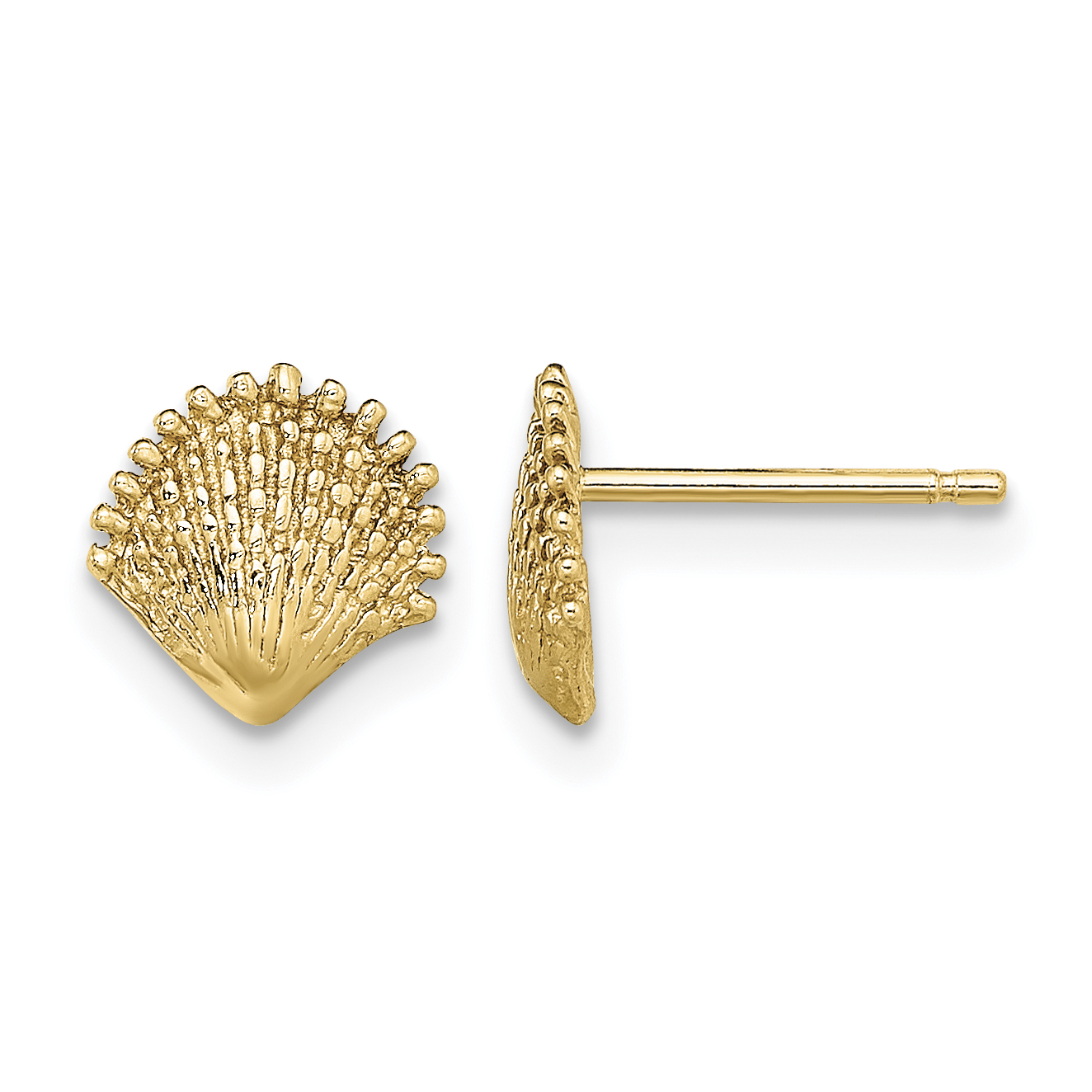 14K Scallop Shell Post Earrings (TE778)