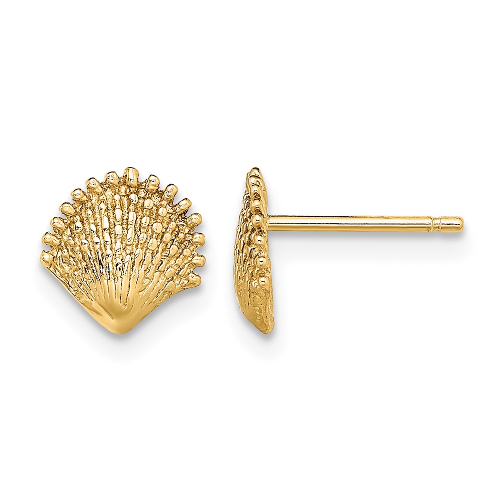 14K Scallop Shell Post Earrings (TE778)
