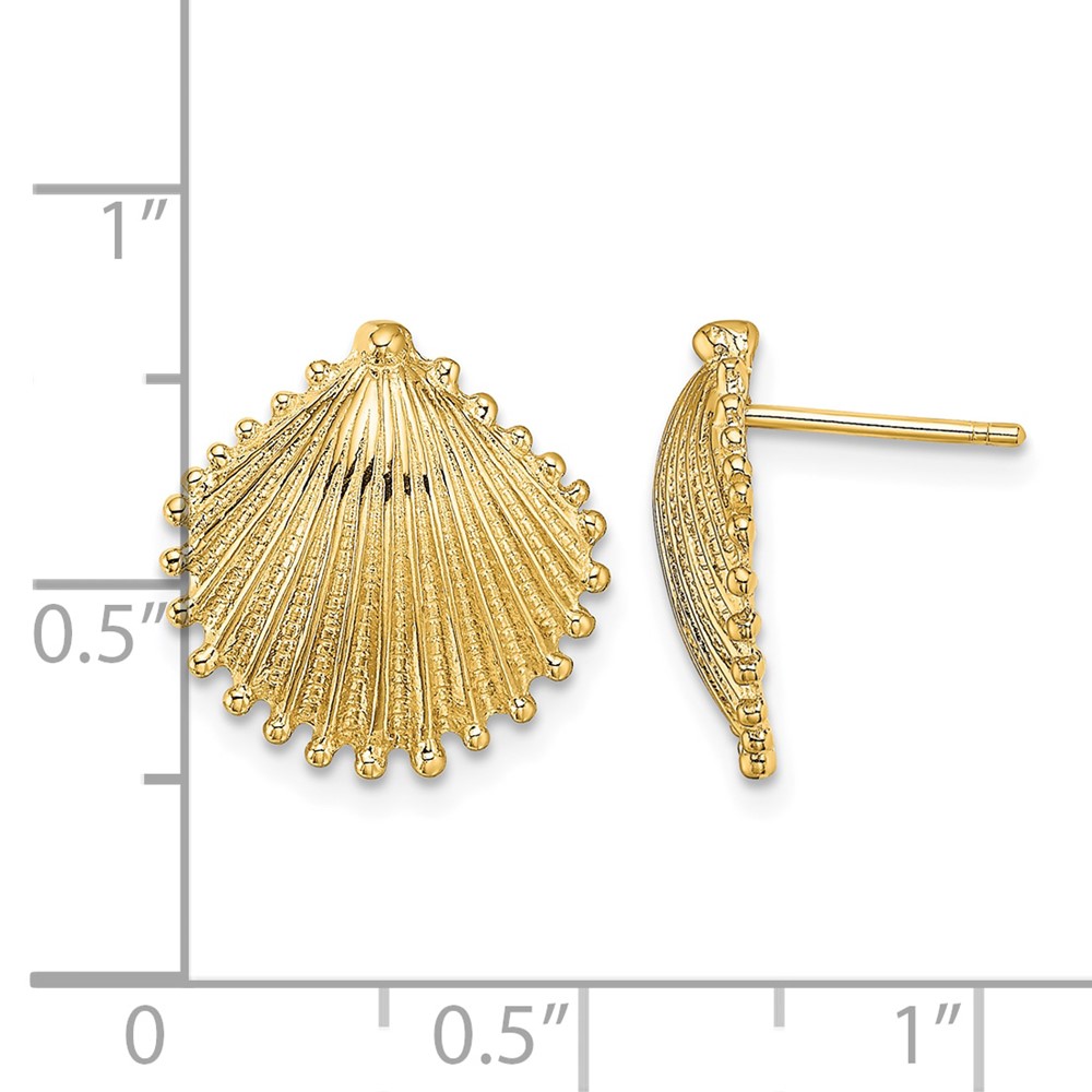 14K Scallop Shell Post Earrings (TE779)