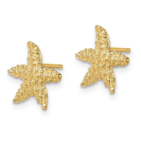 14K Textured Starfish Post Earrings