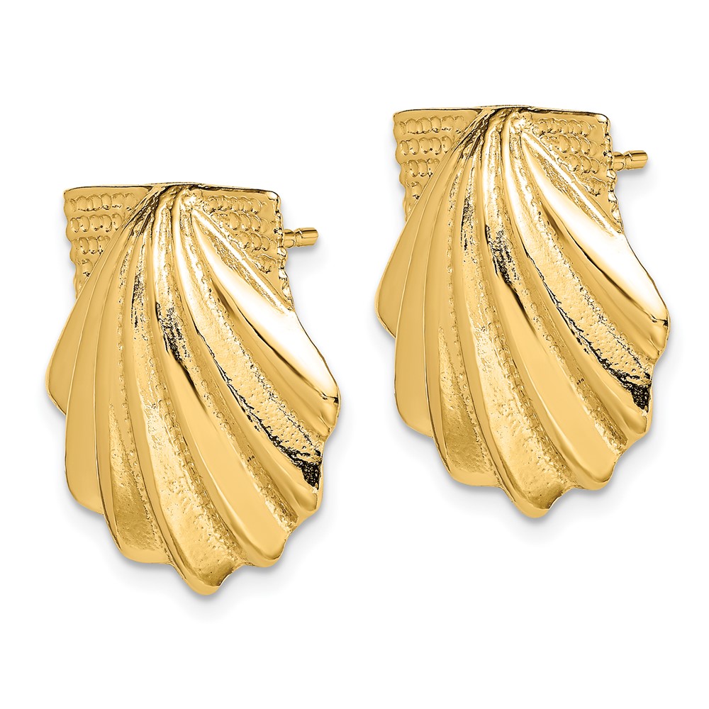 14K Scallop Shell Earrings (TE785)