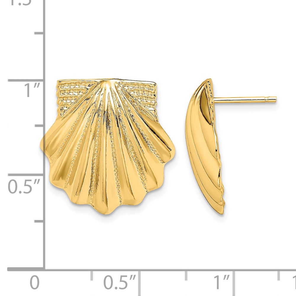 14K Scallop Shell Earrings (TE785)