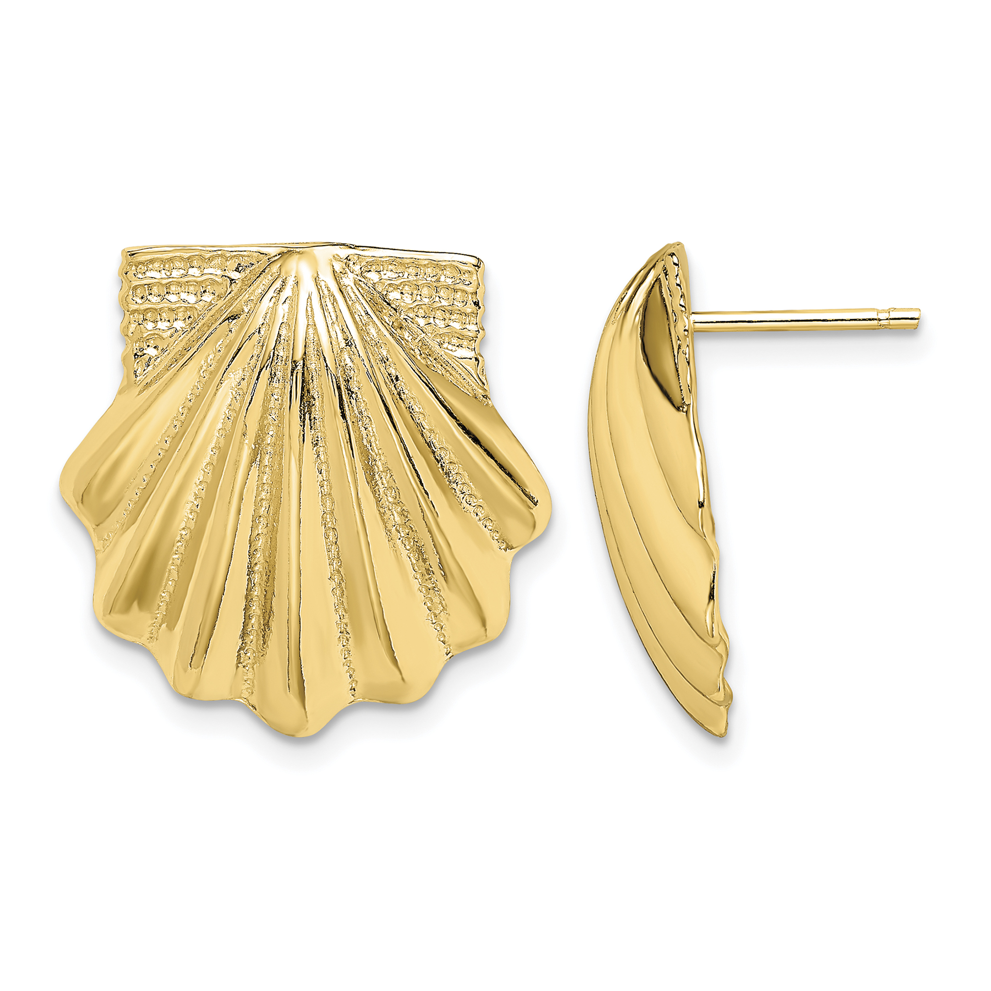 14K Scallop Shell Earrings (TE785)