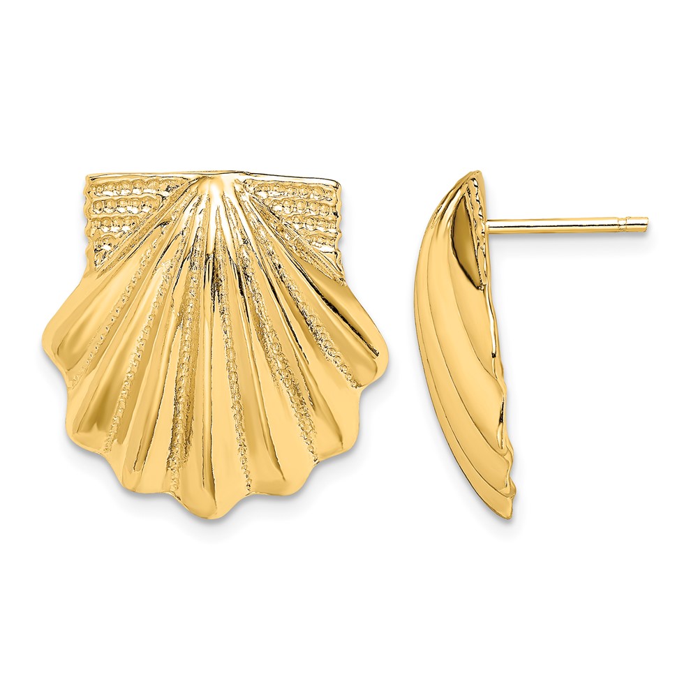 14K Scallop Shell Earrings (TE785)