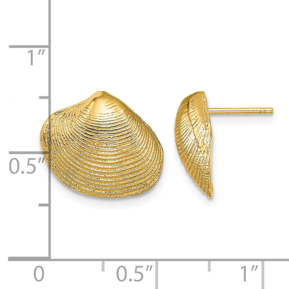 14K Clam Shell Post Earrings (TE786)