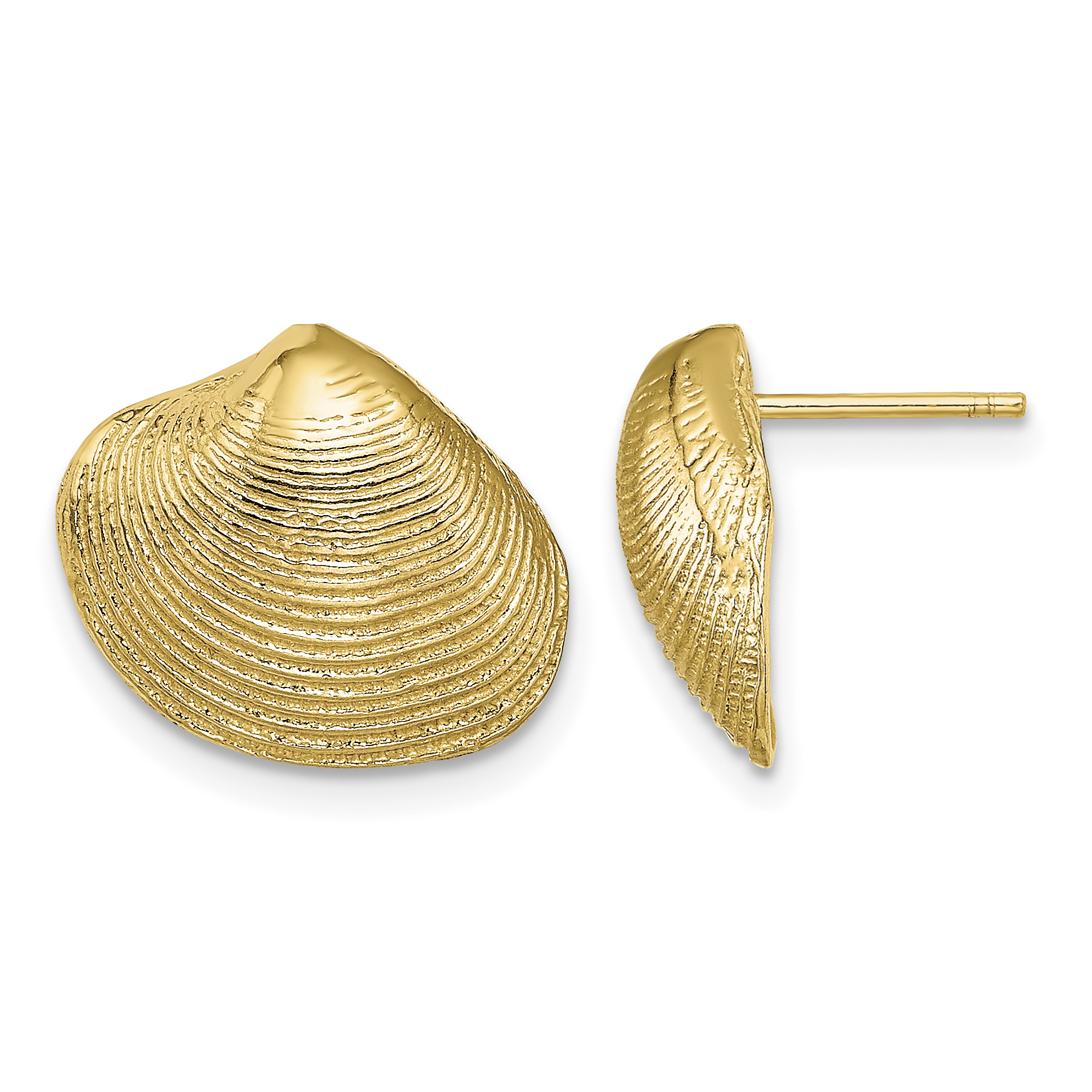 14K Clam Shell Post Earrings (TE786)