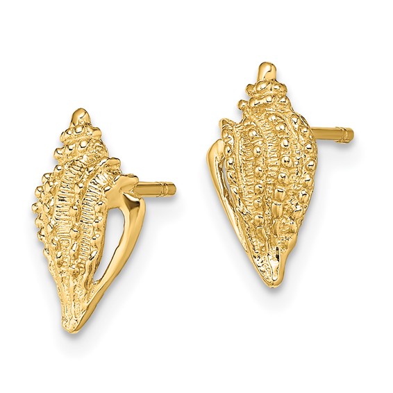 14K Mini Conch Shell Post Earrings