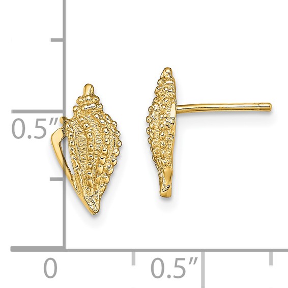 14K Mini Conch Shell Post Earrings