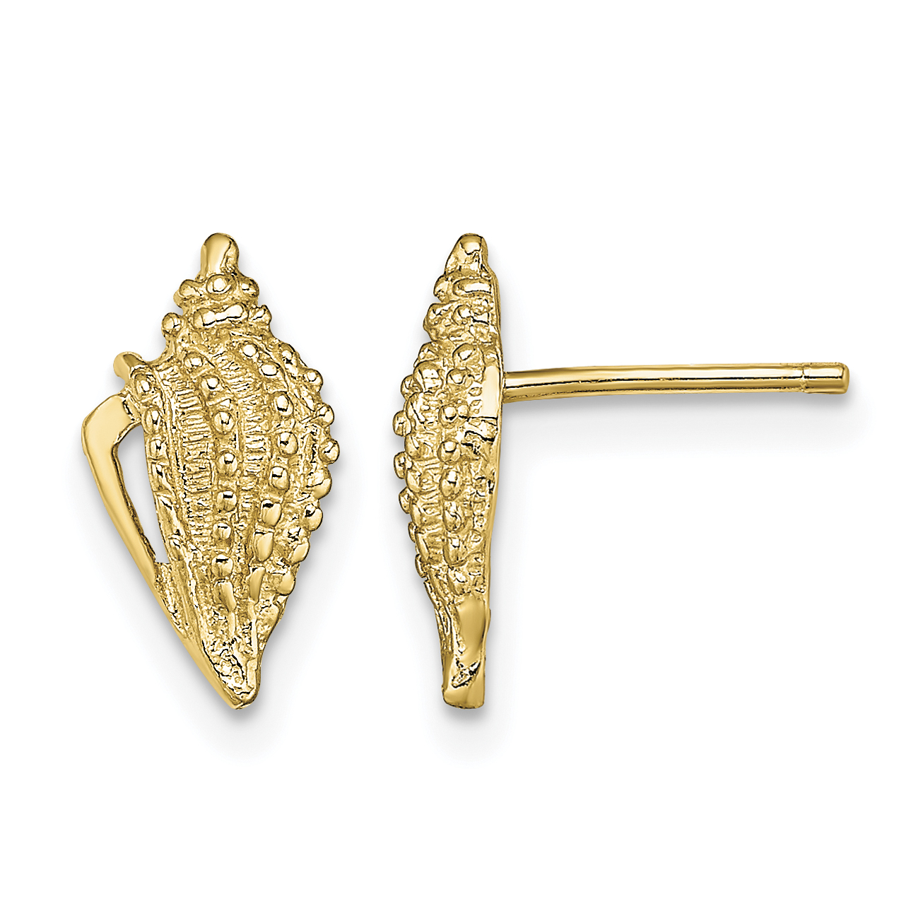 14K Mini Conch Shell Post Earrings (TE800)