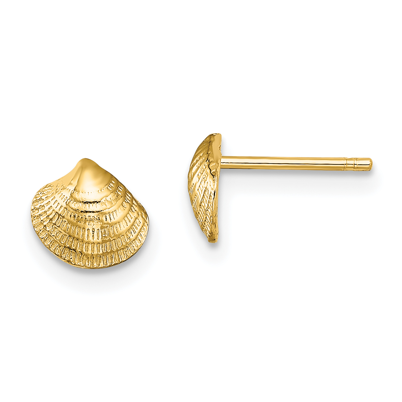 14K Mini Clam Shell Post Earrings (TE801)