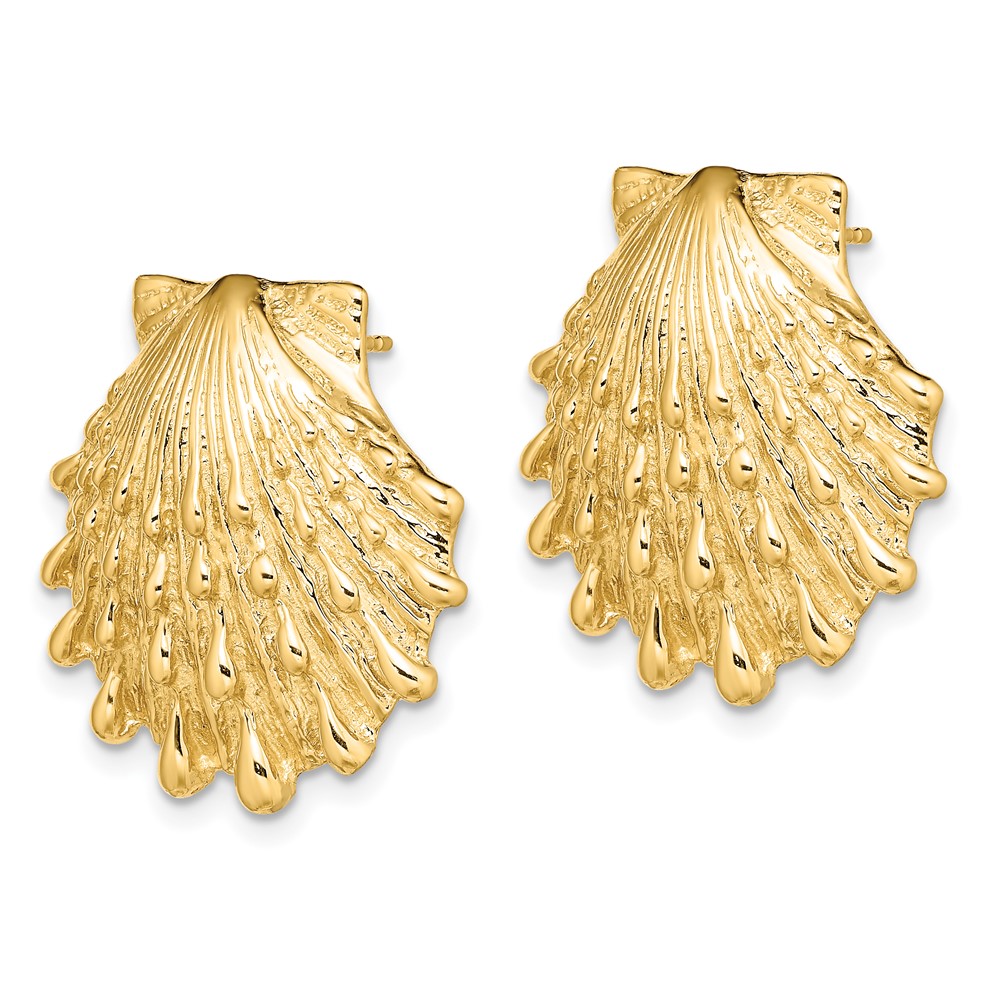 14K Lion's Paw Shell Post Earrings (TE810)