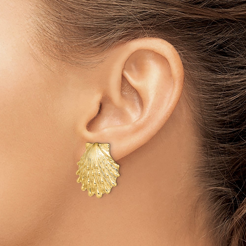 14K Lion's Paw Shell Post Earrings (TE810)