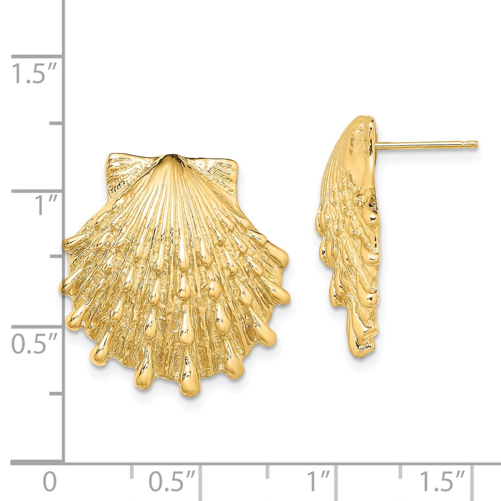 14K Lion's Paw Shell Post Earrings (TE810)