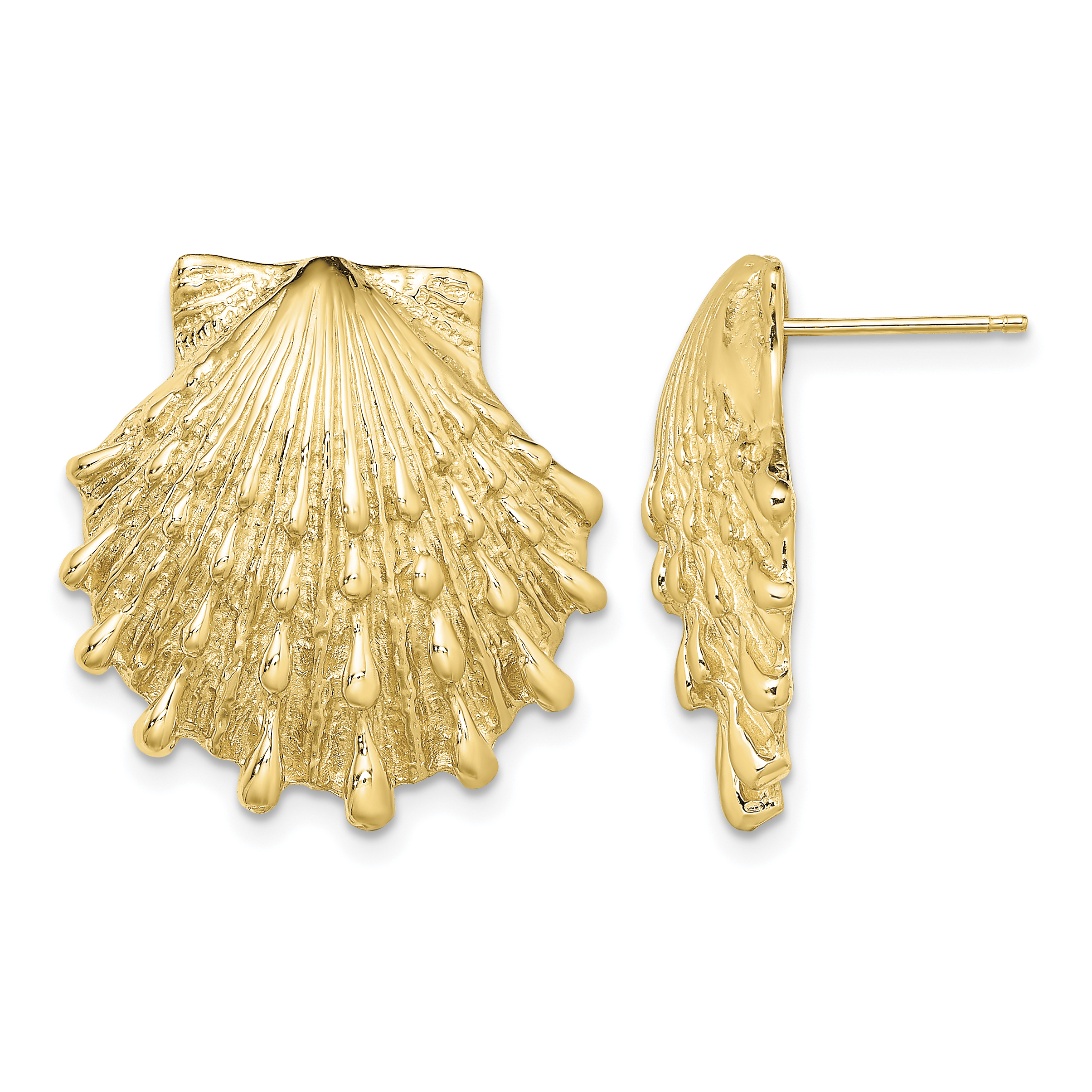 14K Lion's Paw Shell Post Earrings (TE810)